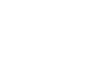 Cyber-Solutions Software GmbH